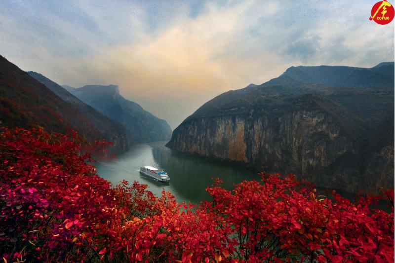 三峡巫山红叶